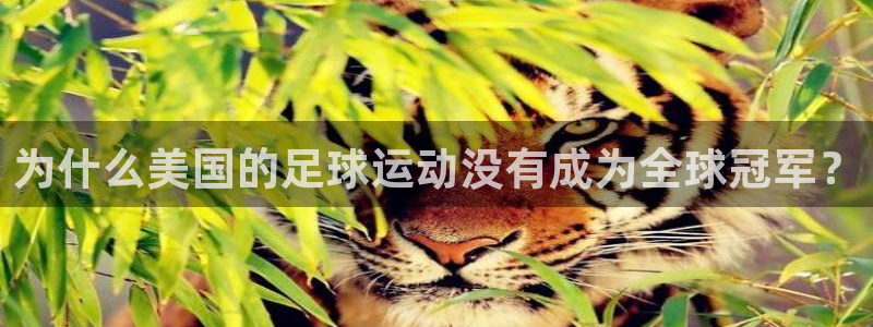 ug环球官网登录入口