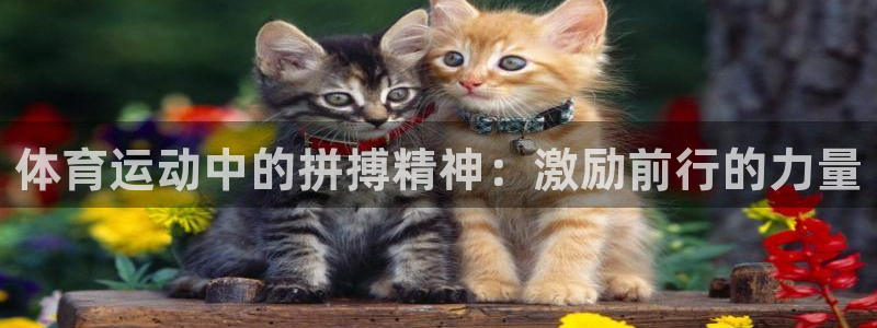 菲律宾ug环球官网
