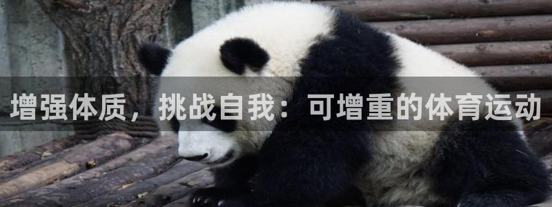 ug环球官网登录入口