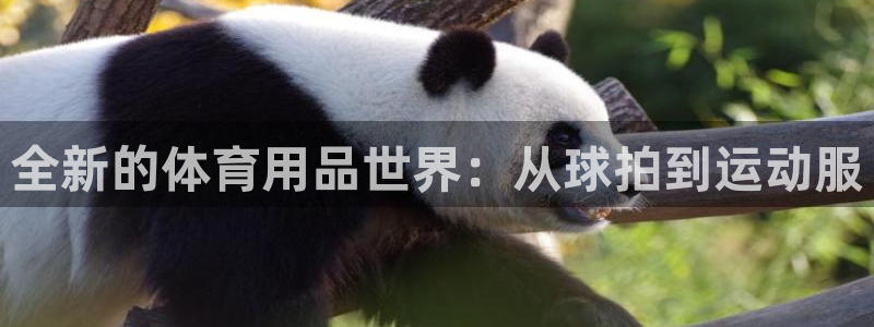 ug环球官网
